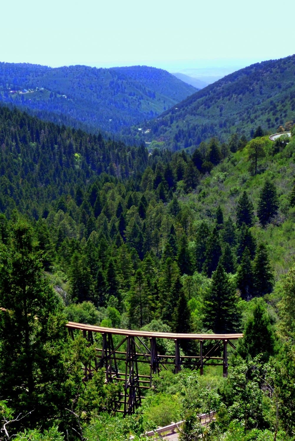 Osha Trail