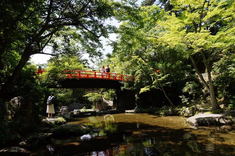 Beautiful bridges