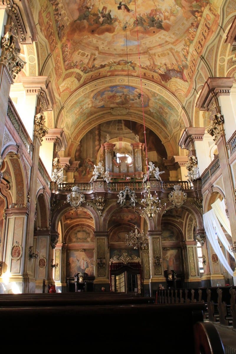 View to the organ pipes