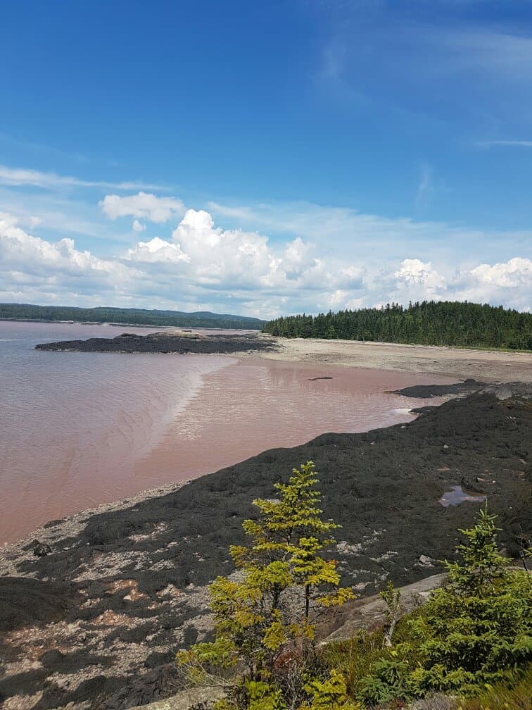 Seal Cove Irving Nature Park