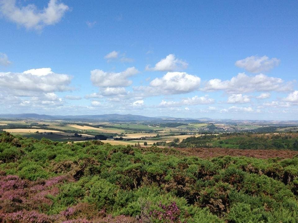 From Brimmond Hill looking towards Benachie.