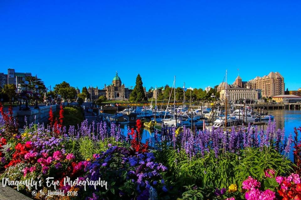 Early morning on the Inner Harbour.