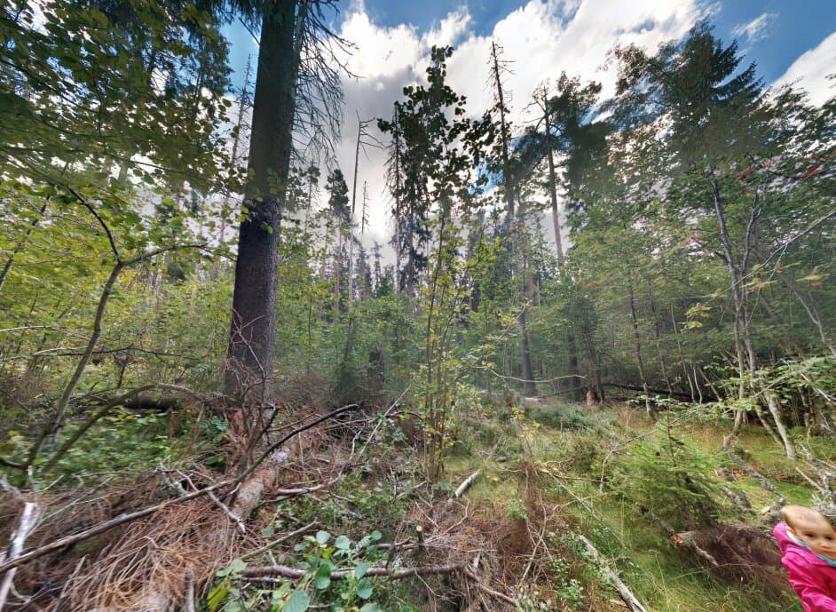 Garphyttan National Park