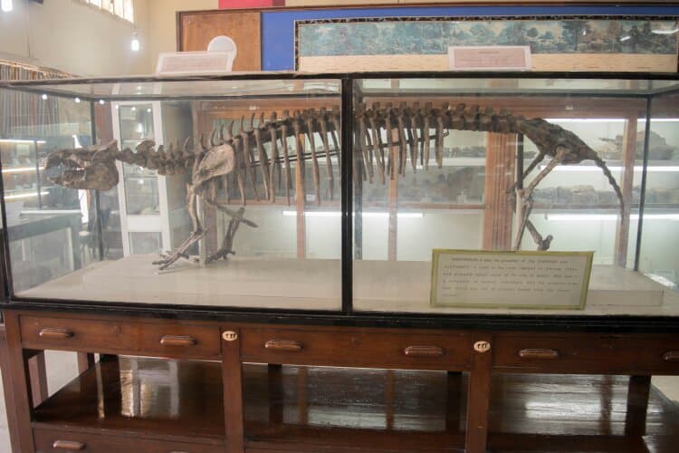 Egyptian Geology Museum