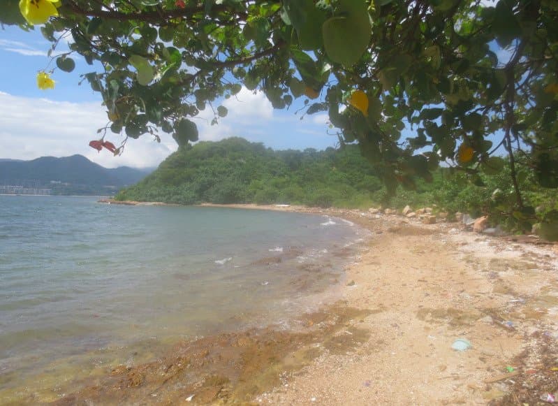 Littered with washed up debris and other trash