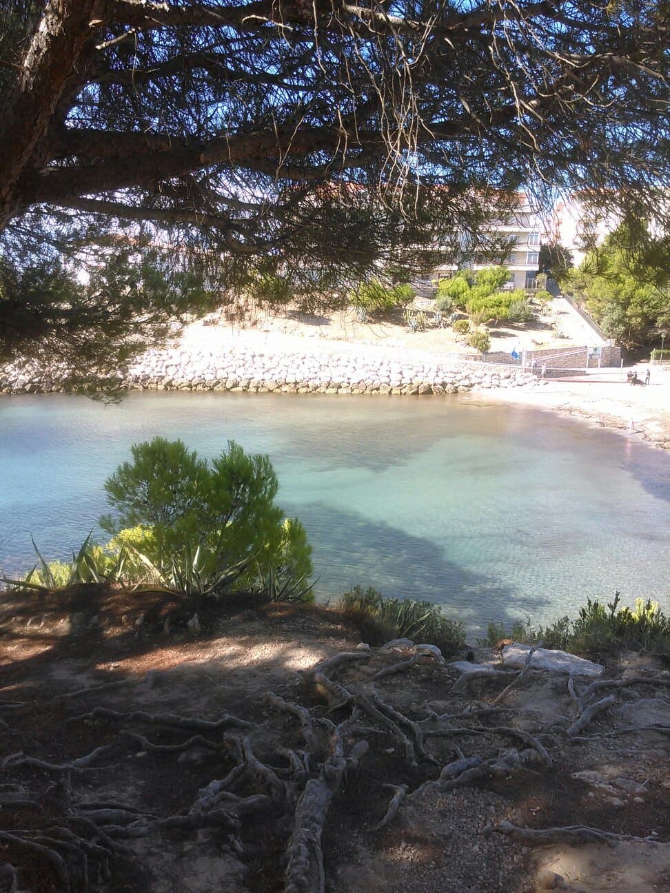 Playa de Pixa-vaques