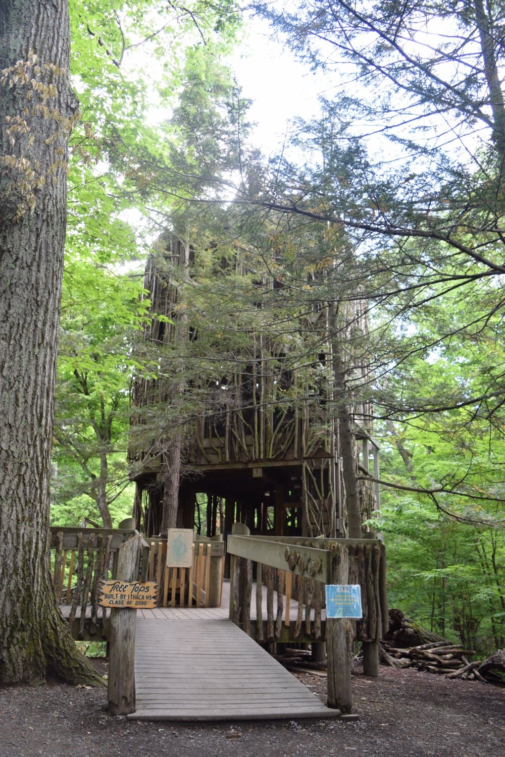 Our TreeTops treehouse is 6-stories high!