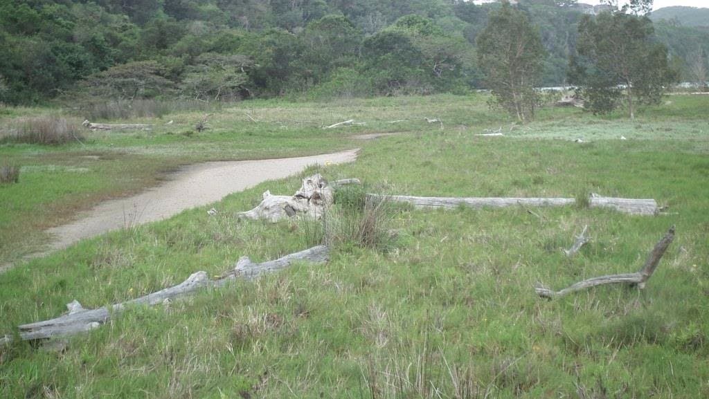 Down to the river beach