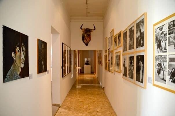 Some collection at the Museum