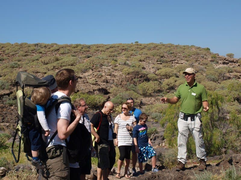 Visitas guiadas / Guided visit