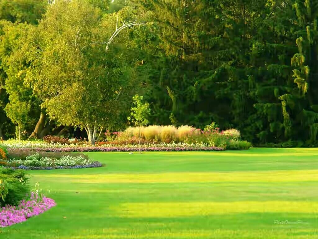 Like as birsamunda park