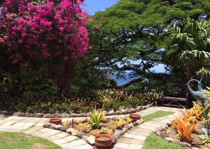 Just a small section of our botanical garden... Caribbean Blue skies and Sea in the background