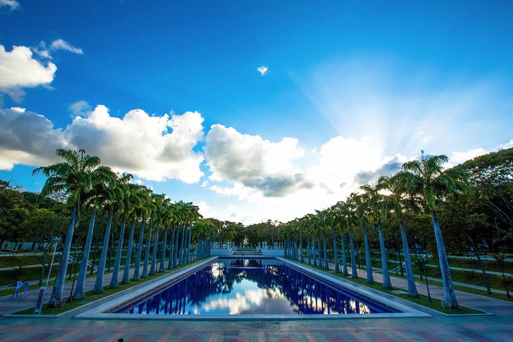 Кадр с моей фотопрогулки