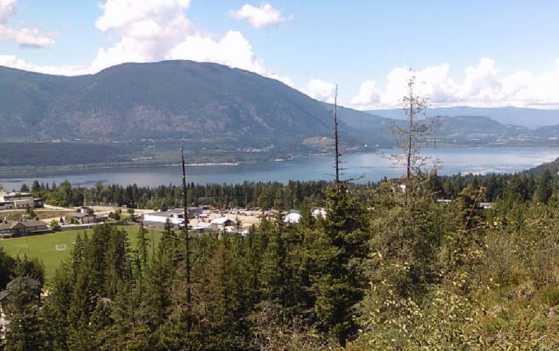 View to Shuswap Lake from the top of Summit Trail