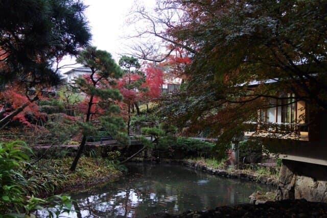 Koyama Japanese Garden