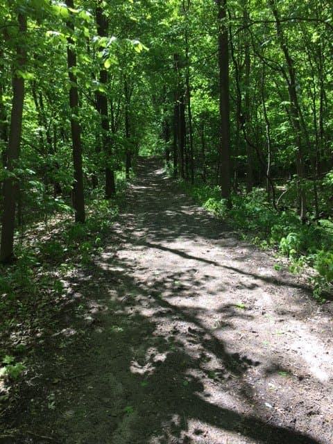 Hiking Trail  - Crow-Hassan Park Reserve