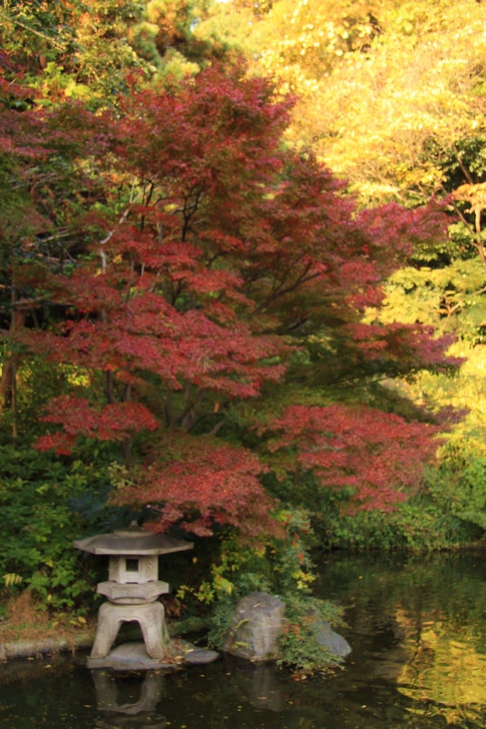 復原公園の紅葉