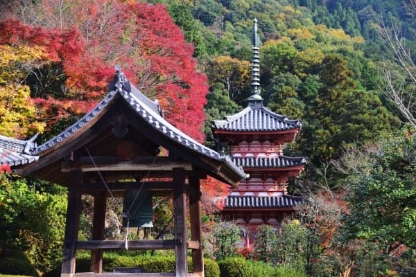 Mimuroto-ji Temple Uji Japan