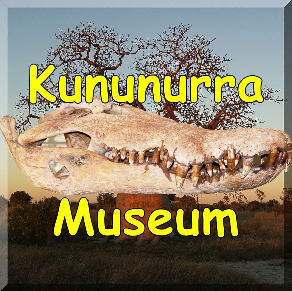 Kununurra Museum - 14 foot Crocodile Skull and the NT-WA Blazed Border Boab