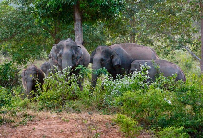 A family group