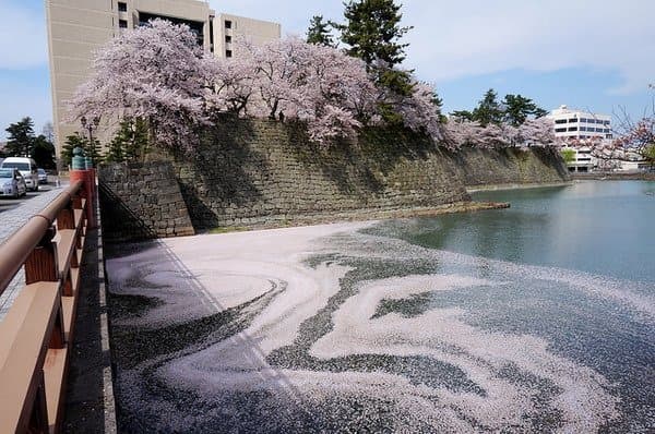 Fukui Castle Park Fukui
