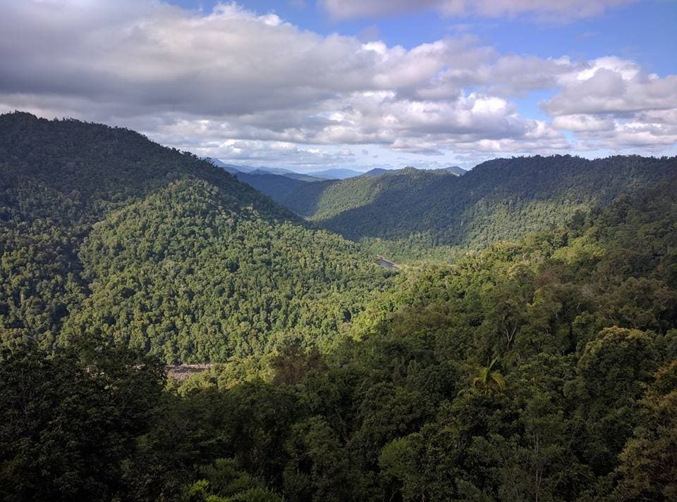 View from the top of the observation tower