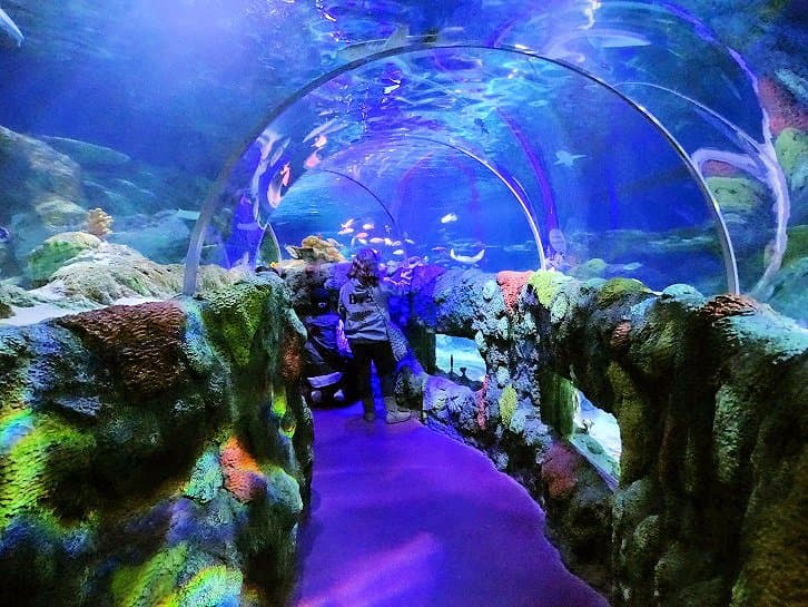 short tunnel