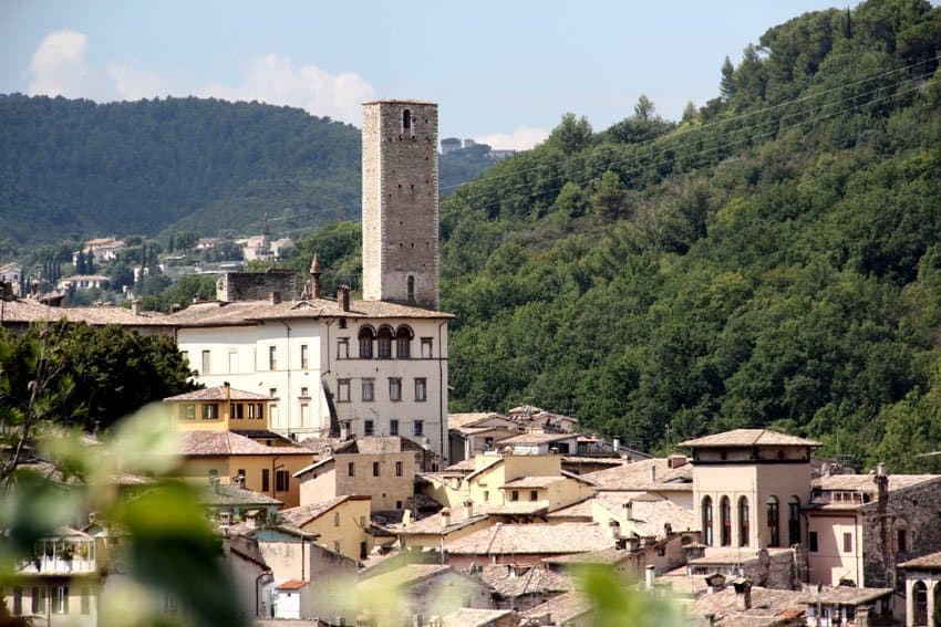 Torre dell'olio
