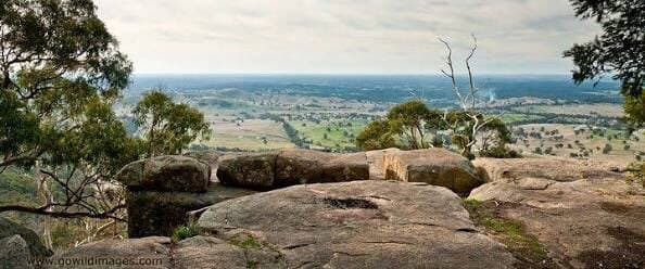 Mount Alexander Regional Park