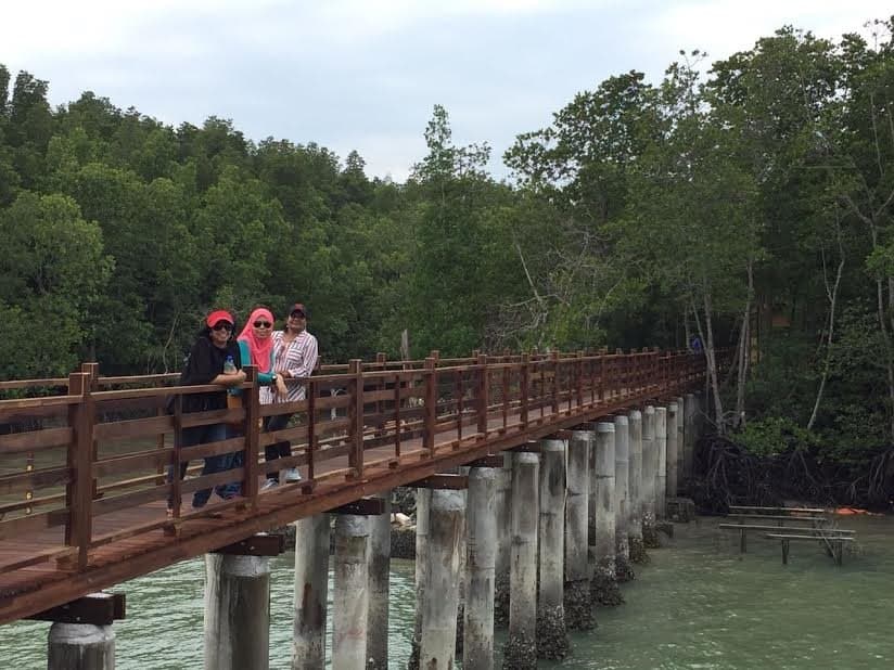 The walkway to the mangroves.