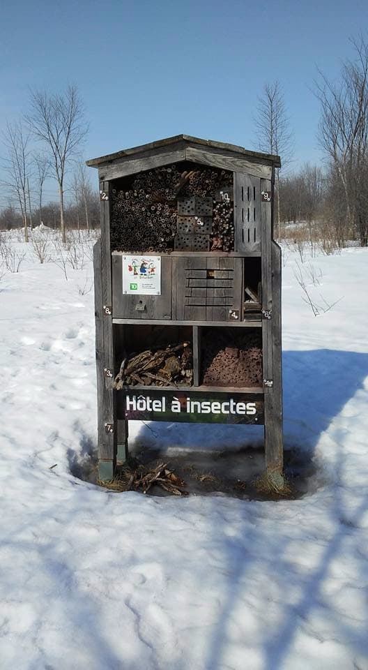Hotel à insectes