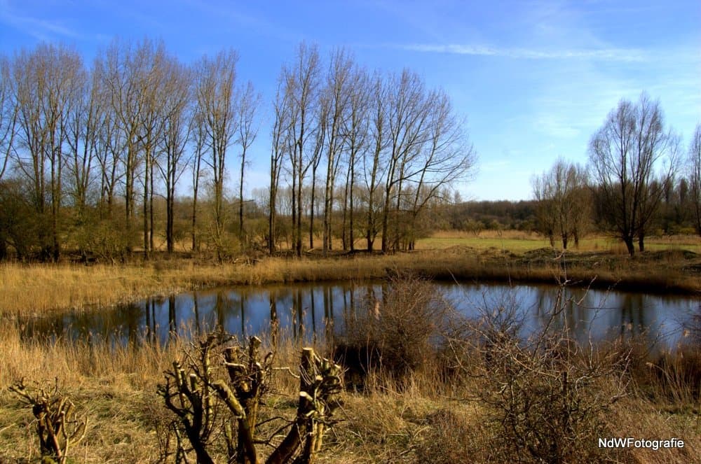 natuurpark Lelystad