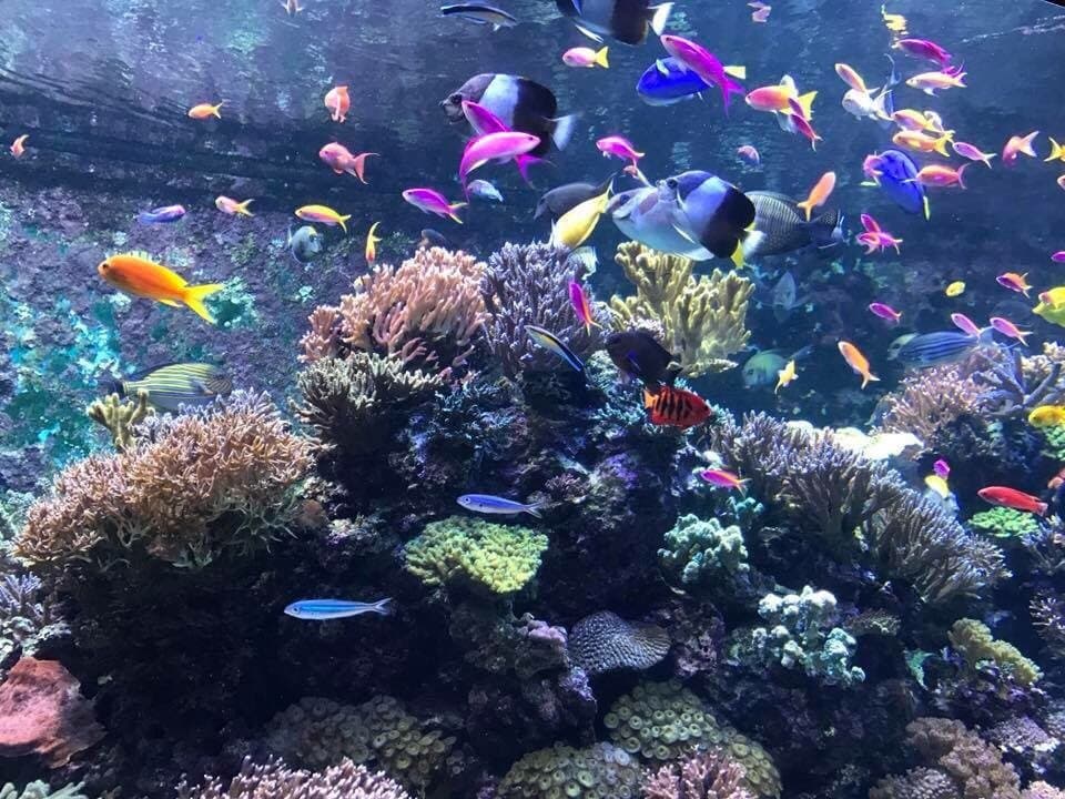 Have Fun at the Maritime Experiential Museum