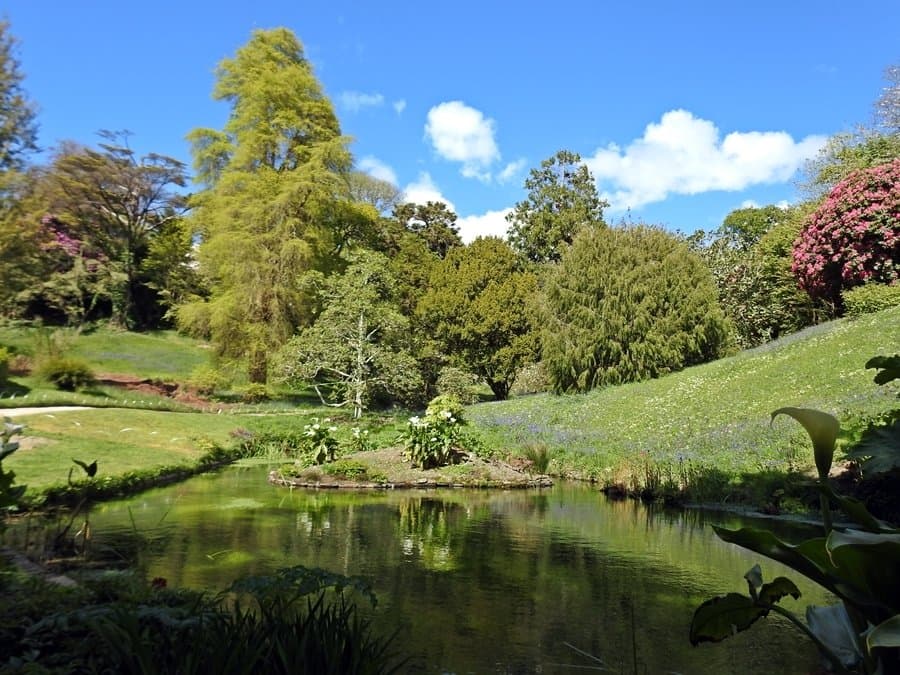 Glendurgan Garden