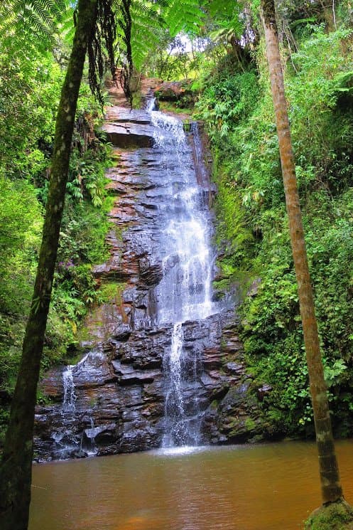 Cachoeira entre árvores