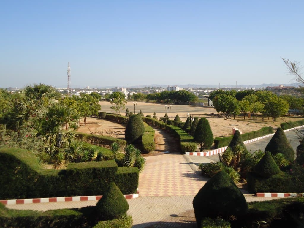 Garden looks beautiful.