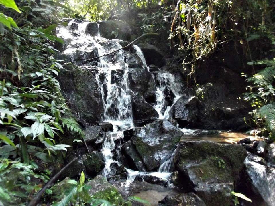 Parque Estadual da Cantareira Guarulhos