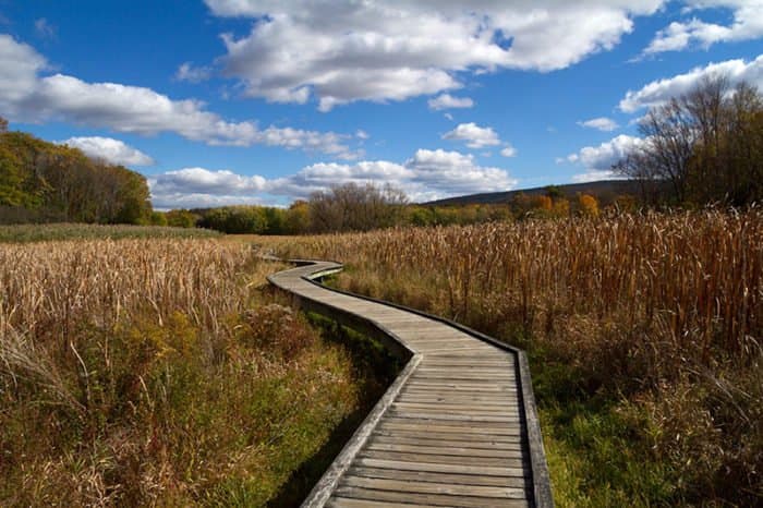 Boardwalk
