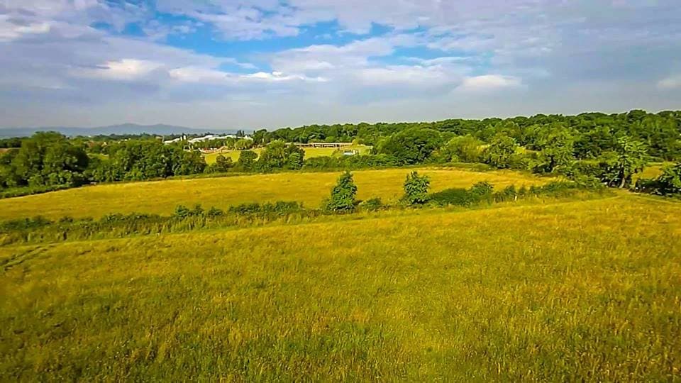 Wildflower meadows, which look very different throughout the seasons. 
