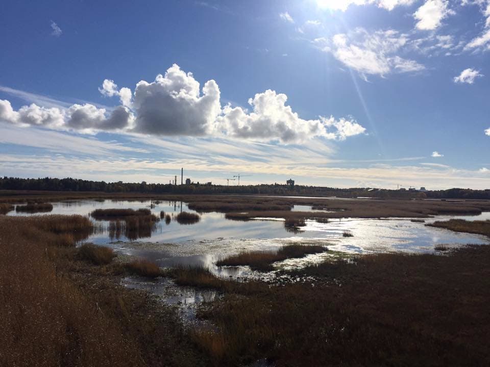 вид с башни