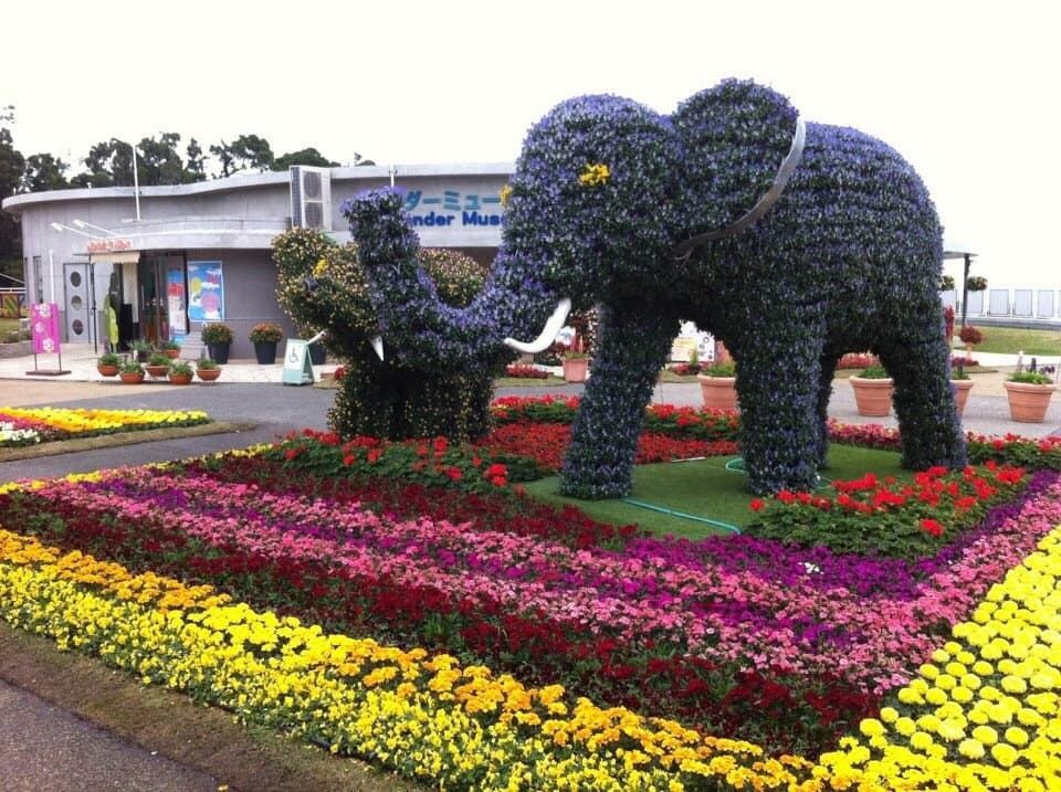 Okinawa Zoo and Museum