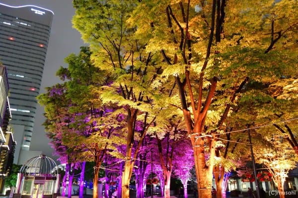 グランモール公園