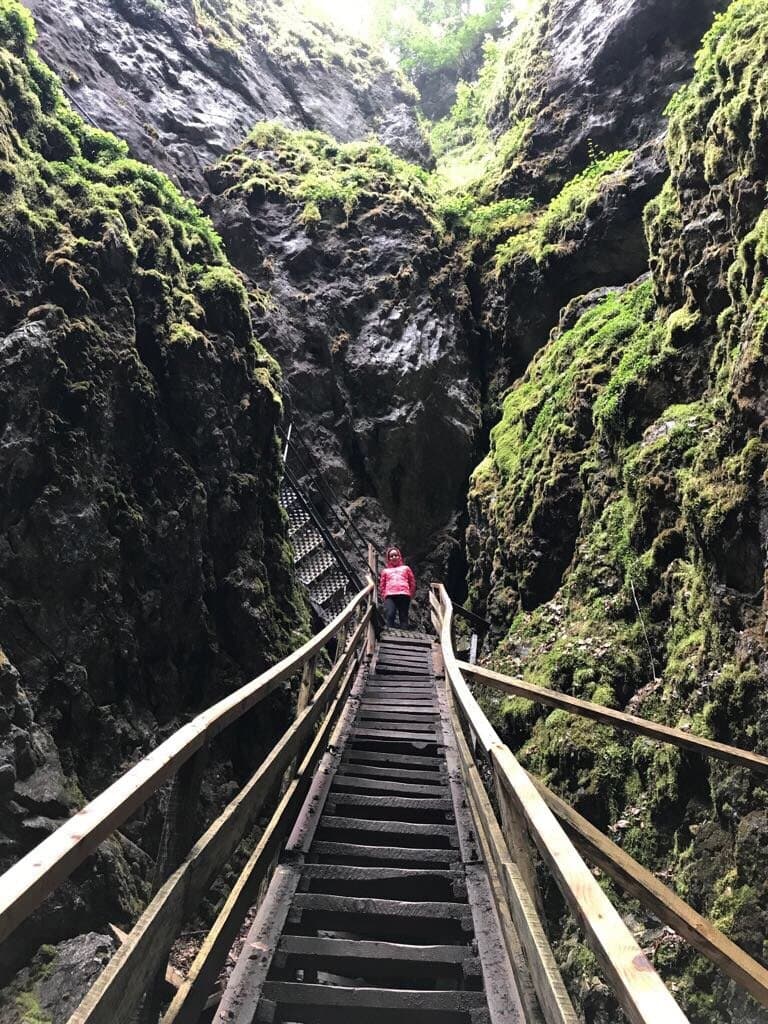 Scărișoara Ice Cave