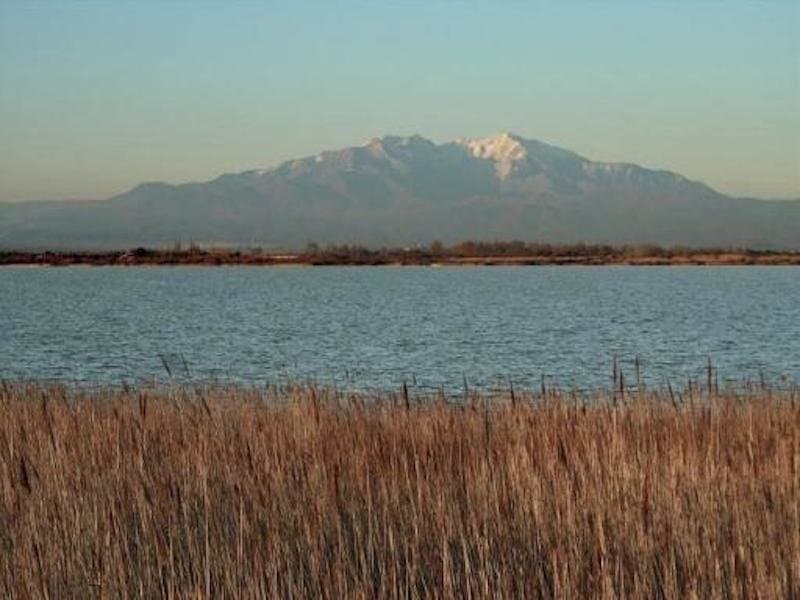 Etang de Canet - Saint-Nazaire,, Saint-Nazaire (Pyrénées-Orientales, Occitanie), France.
