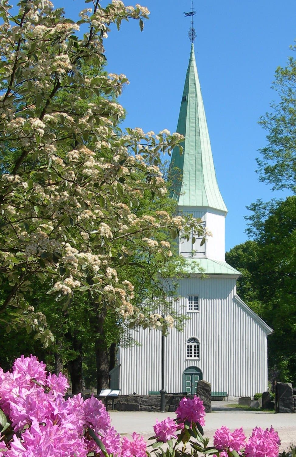 Oddernes kirke om våren (foto: Odd Drange)