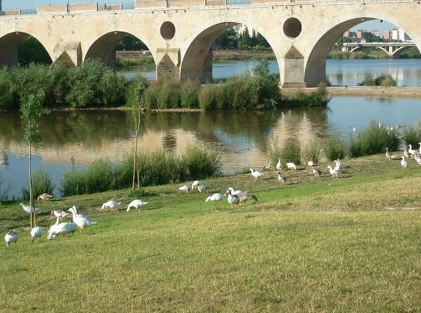 Parque Fluvial del Turia Teruel