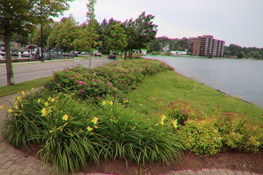 Enjoying the lake and flowers