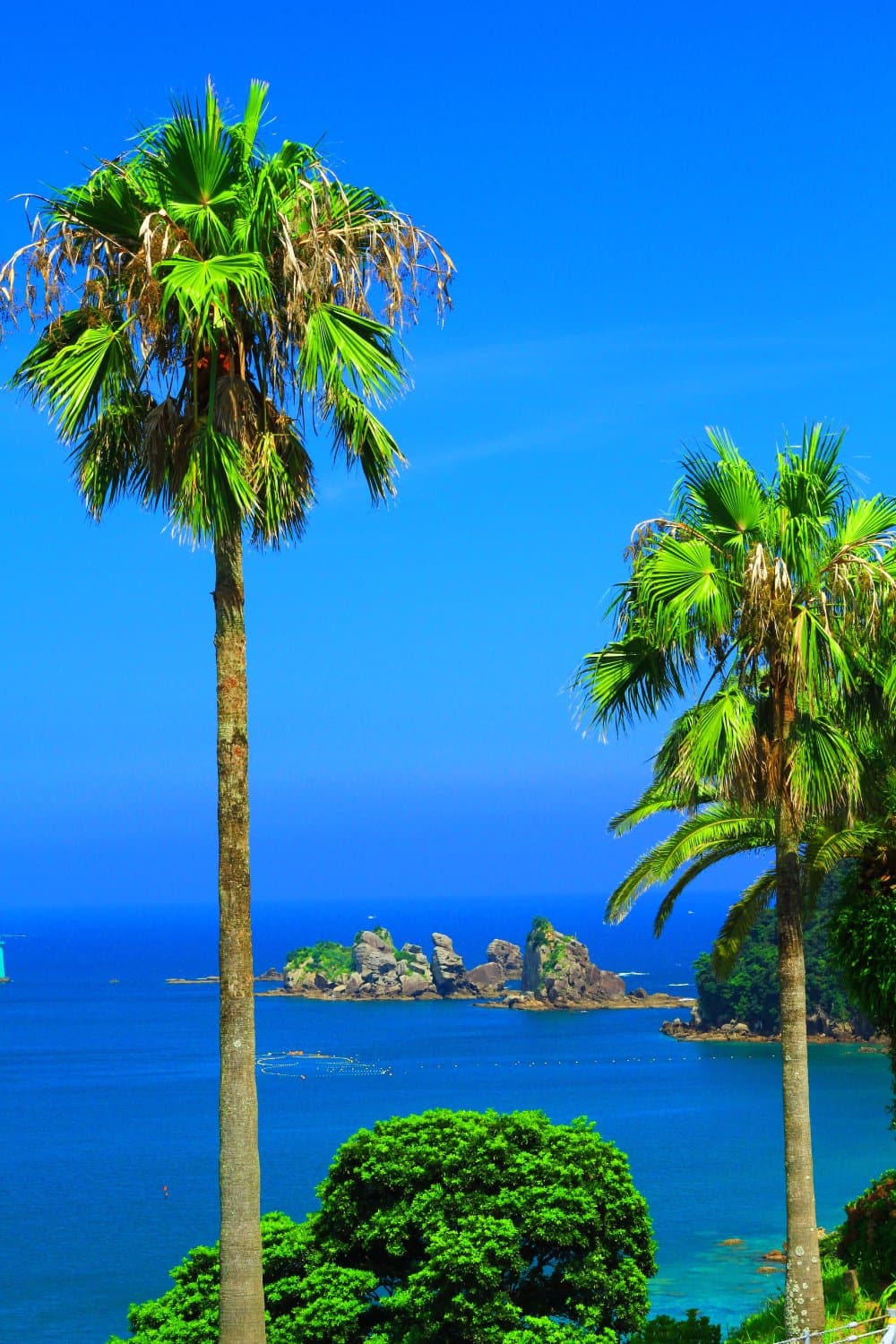 南国ムード漂う道の駅・その３