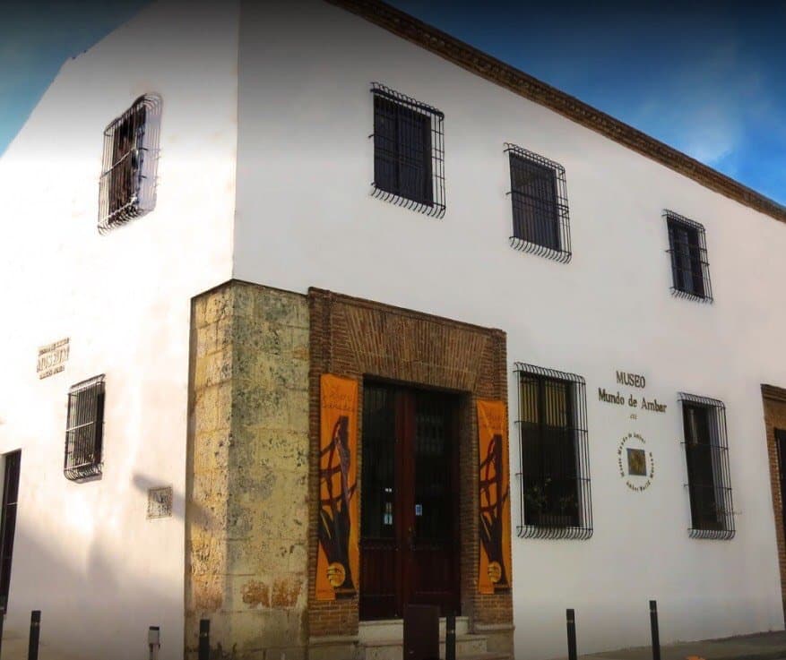 The Amber World Museum Building