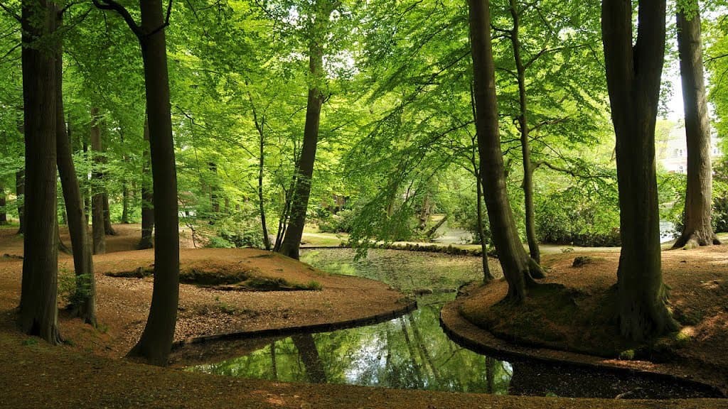 ponds and the greens